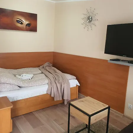 Aparthouse Centrum - In The Center Near The Train Station * Κατοβίτσε