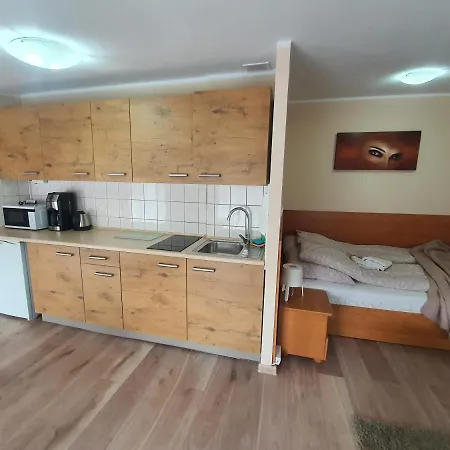Aparthouse Centrum - In The Center Near The Train Station Apartment *