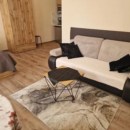 Apartment Aparthouse Centrum - In The Center Near The Train Station Katowice