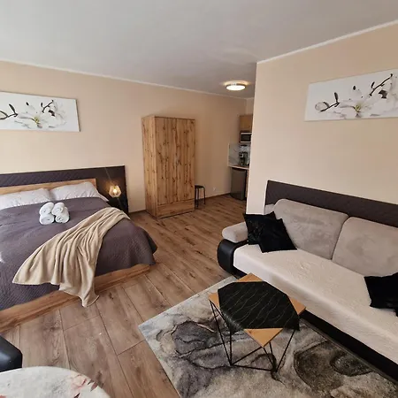 Aparthouse Centrum - In The Center Near The Train Station * Κατοβίτσε