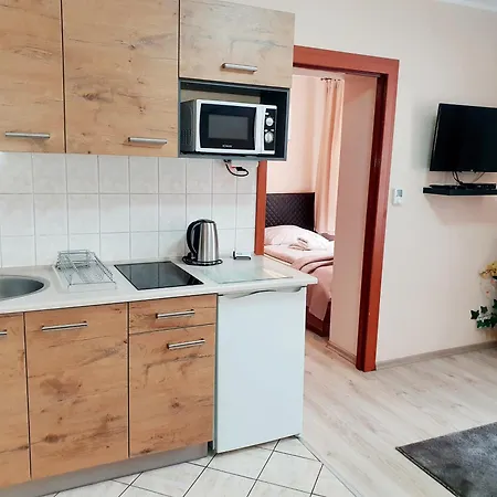 Apartment Aparthouse Centrum - In The Center Near The Train Station Katowice