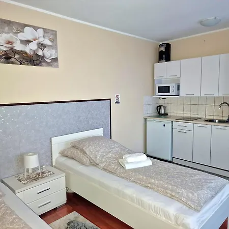 Aparthouse Centrum - In The Center Near The Train Station * Κατοβίτσε