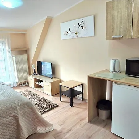 Aparthouse Centrum - In The Center Near The Train Station * Katowice