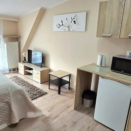 Aparthouse Centrum - In The Center Near The Train Station Κατοβίτσε