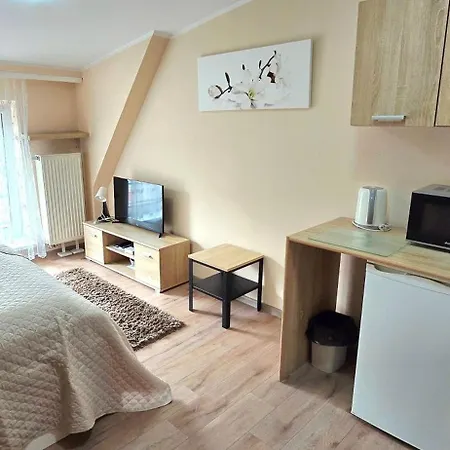 Aparthouse Centrum - In The Center Near The Train Station * Katowice