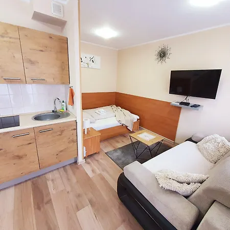 Aparthouse Centrum - In The Center Near The Train Station Διαμέρισμα Κατοβίτσε