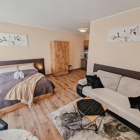 Aparthouse Center - 5 Min Rynek & Pkp - Self Check-in 24h * Katowice