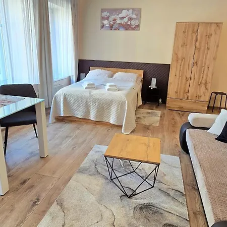Aparthouse Center - & - 5 Min Rynek & Pkp - Self Check-in 24h * カトヴィツェ