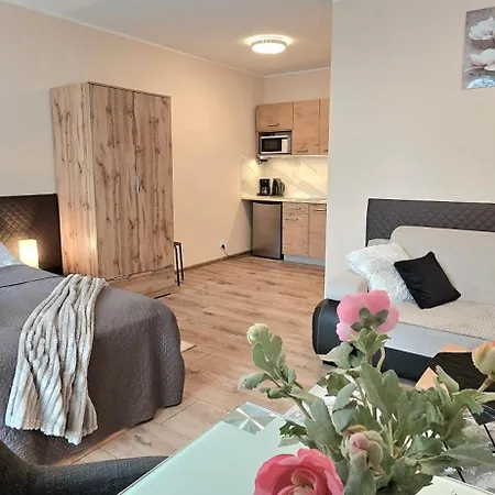 Aparthouse Center - & - 5 Min Rynek & Pkp - Self Check-in 24h * 卡托维兹