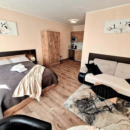 Aparthouse Center - & - 5 Min Rynek & Pkp - Self Check-in 24h アパート カトヴィツェ