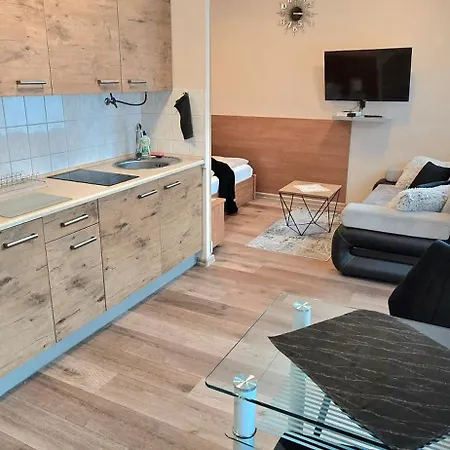 公寓 Aparthouse Center - & - 5 Min Rynek & Pkp - Self Check-in 24h 卡托维兹