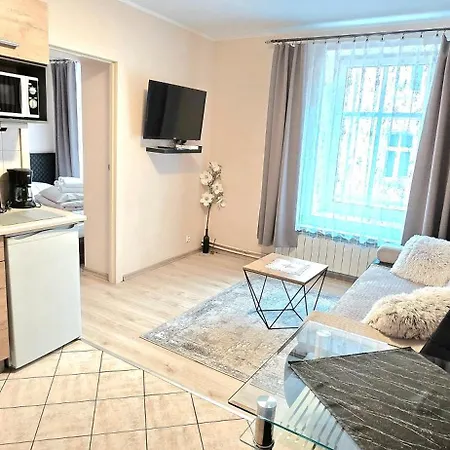 Aparthouse Center - & - 5 Min Rynek & Pkp - Self Check-in 24h * カトヴィツェ