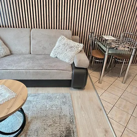 Aparthouse Center - & - 5 Min Rynek & Pkp - Self Check-in 24h * 卡托维兹