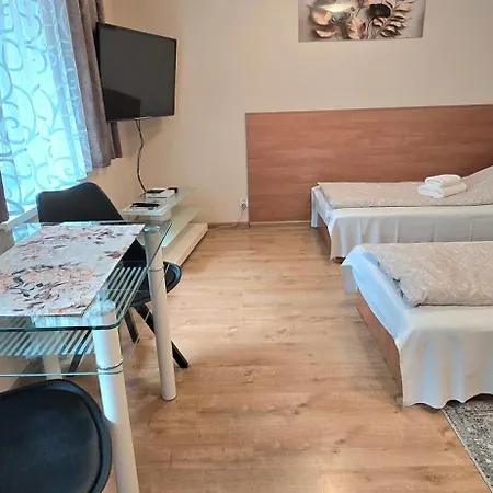 Aparthouse Center - & - 5 Min Rynek & Pkp - Self Check-in 24h 公寓 卡托维兹