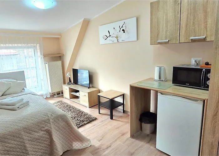 Aparthouse City Center - 5 Min Rynek & Pkp - Self Check-In 24H * كاتوفيتسه