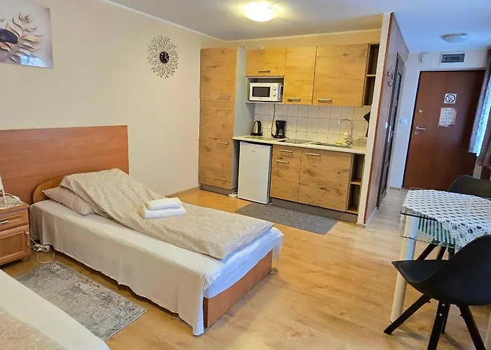 Aparthouse Centrum - In The Center Near The Train Station Appartement Katowice