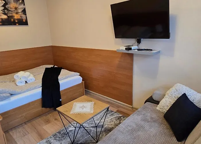 Apartment Aparthouse Centrum - In The Center Near The Train Station Katowice